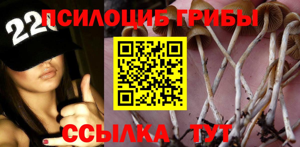 Галлюциногенные грибы мицелий  Псилоцибиновые грибы Magic Shrooms  Еманжелинск  Вход с VPN 