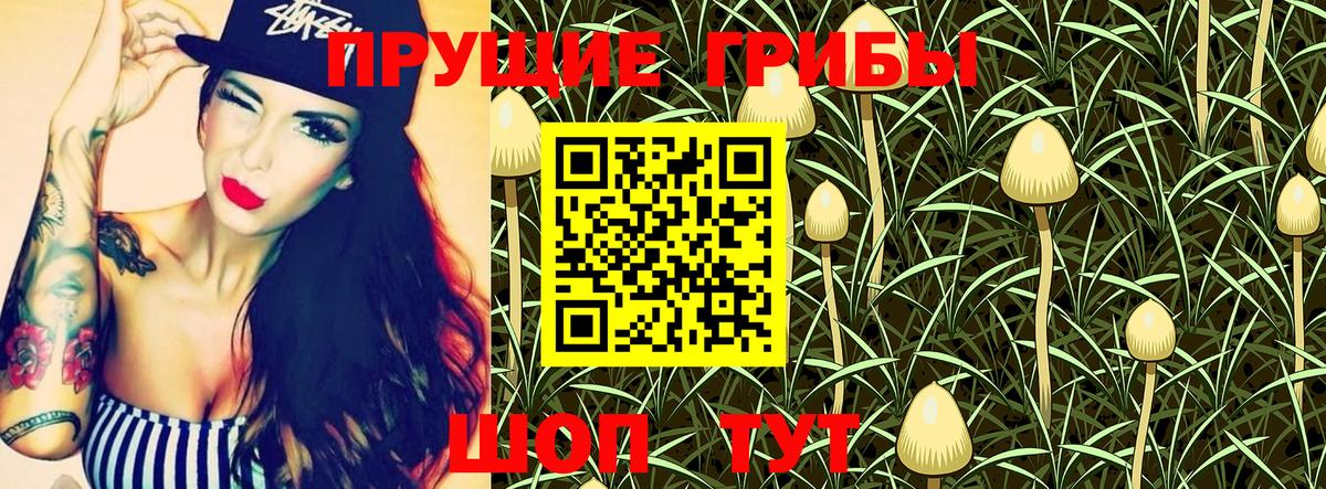 Галлюциногенные грибы Psilocybe Еманжелинск